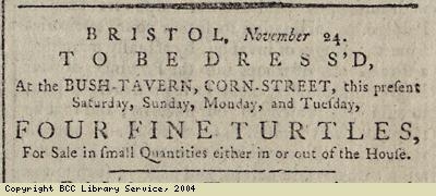 Advert for the sale of turtles