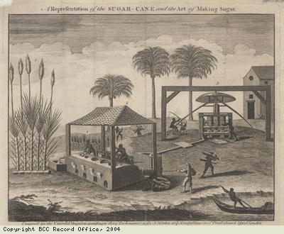 The Sugar Cane and the Art of Sugar-Making