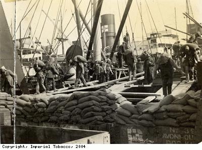 Ship unloading cottonseed meal
