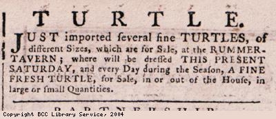 Advert for turtles for sale