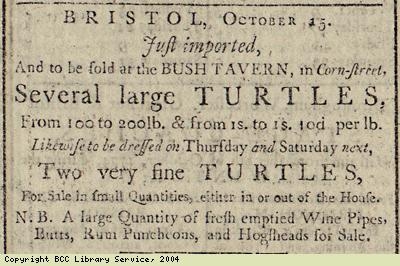 Advert for turtles just imported