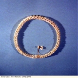 Cowrie shell belt