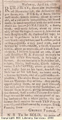 Newspaper extract, runaway slaves