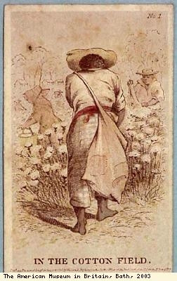 Slave card, In the Cotton Field