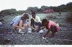 Young Nevisians collecting artefacts